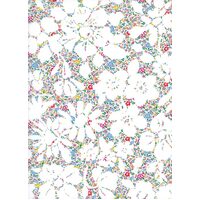 Napkin Double Sided Made with Liberty Fabric Meadow Song A & Bella's Silhouette A Set of 2